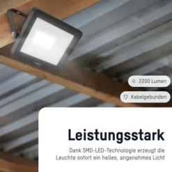 ANSMANN AG Flutlicht WFL20W kabelgebunden 20 W^ Flutlichter