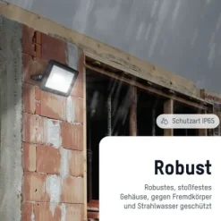 ANSMANN AG Flutlicht WFL20W kabelgebunden 20 W^ Flutlichter