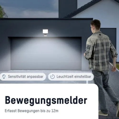 ANSMANN AG Flutlicht WFL30W-S kabelgebunden 30 W^ Flutlichter