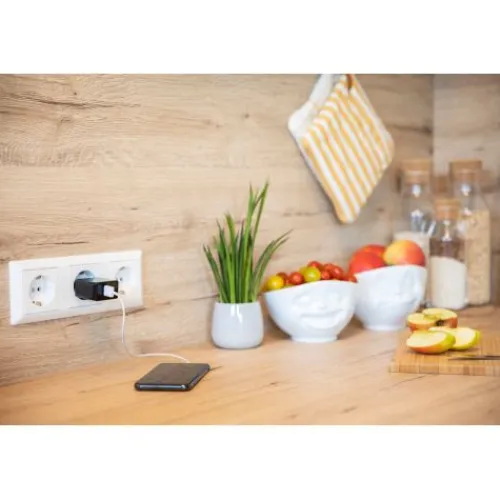 ANSMANN AG Home Charger HC218PD schwarz / 3 A / 20 W / 2 Port^ Usb-ladegeräte