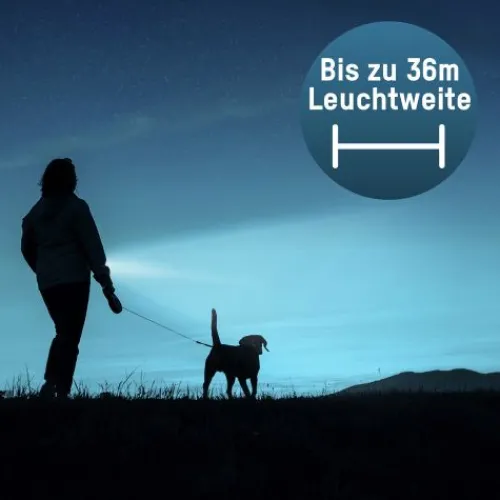 ANSMANN AG LED Taschenlampe Daily Use 50B batteriebetrieben^ Taschenlampen