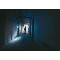 ANSMANN AG LED Taschenlampe Daily Use 50B batteriebetrieben^ Taschenlampen