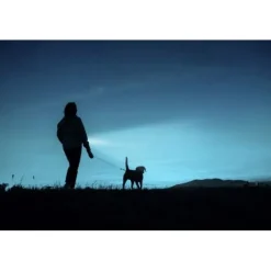 ANSMANN AG LED Taschenlampe Daily Use 70B batteriebetrieben^ Taschenlampen