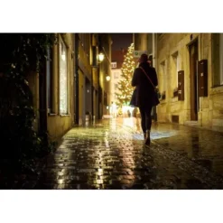 ANSMANN AG LED Taschenlampe Future T200F batteriebetrieben^ Taschenlampen