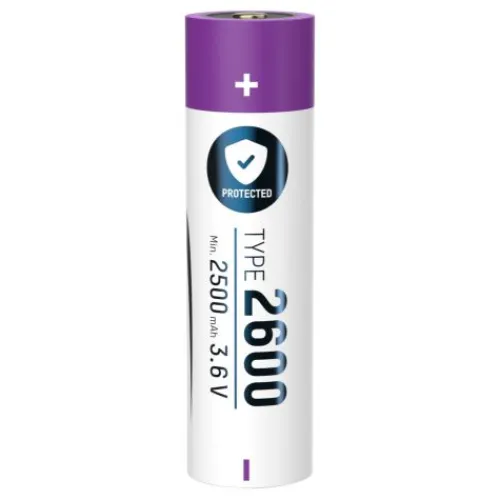 ANSMANN AG Li-Ion Akku 18650 2600 mAh mit USB Typ-C Ladebuchse^ Akkus