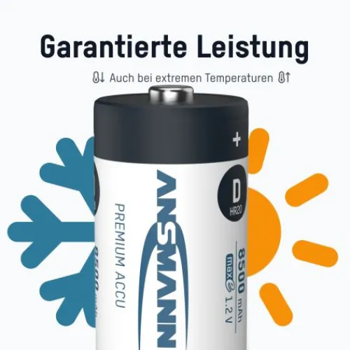 ANSMANN AG NiMH Akku Mono D Typ 10000 (min. 9300 mAh) maxE 2er Blister^ Akkus