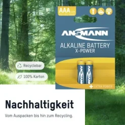 ANSMANN AG X-Power Alkaline Batterie Micro AAA / LR03 2er Papierblister^ Batterien